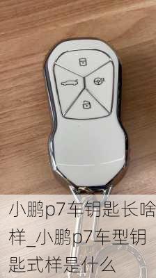 小鹏p7车钥匙长啥样_小鹏p7车型钥匙式样是什么