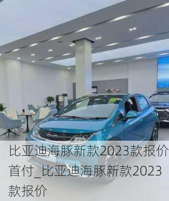 比亚迪海豚新款2023款报价首付_比亚迪海豚新款2023款报价