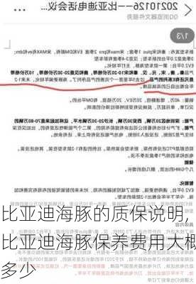 比亚迪海豚的质保说明,比亚迪海豚保养费用大概多少