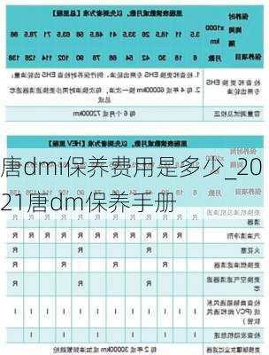 唐dmi保养费用是多少_2021唐dm保养手册