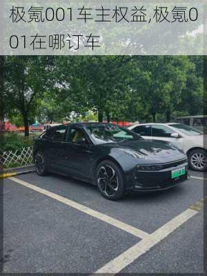 极氪001车主权益,极氪001在哪订车