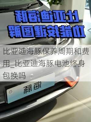 比亚迪海豚保养周期和费用_比亚迪海豚电池终身包换吗