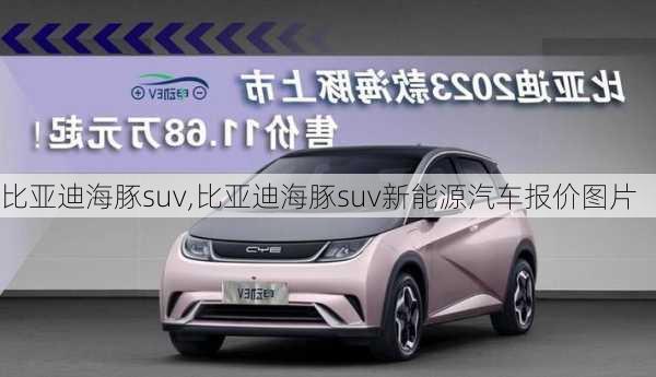 比亚迪海豚suv,比亚迪海豚suv新能源汽车报价图片