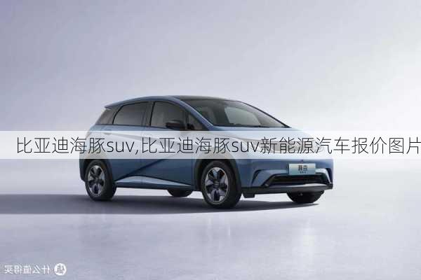 比亚迪海豚suv,比亚迪海豚suv新能源汽车报价图片