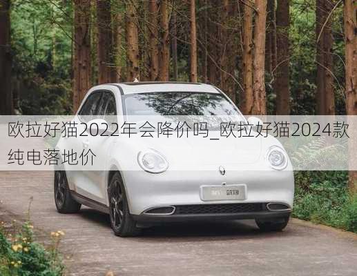 欧拉好猫2022年会降价吗_欧拉好猫2024款纯电落地价