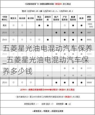 五菱星光油电混动汽车保养_五菱星光油电混动汽车保养多少钱