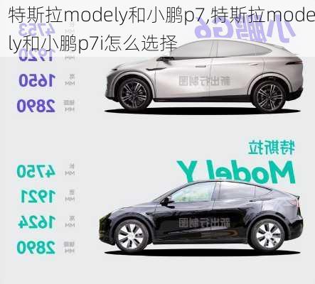 特斯拉modely和小鹏p7,特斯拉modely和小鹏p7i怎么选择