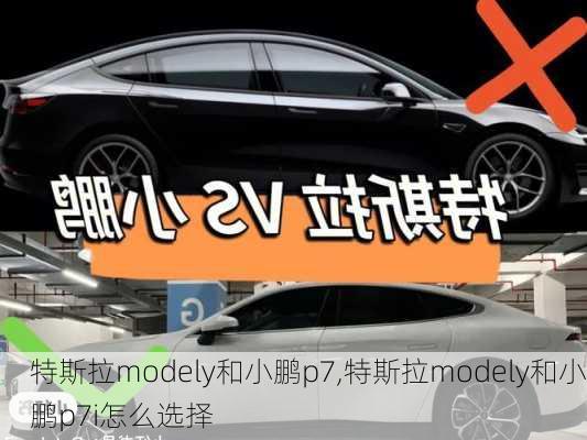 特斯拉modely和小鹏p7,特斯拉modely和小鹏p7i怎么选择