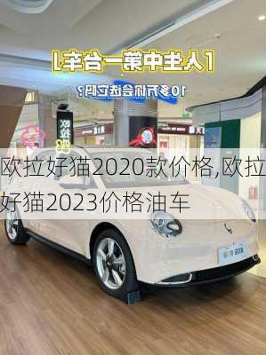 欧拉好猫2020款价格,欧拉好猫2023价格油车