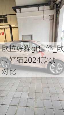 欧拉好猫gt售价_欧拉好猫2024款gt对比