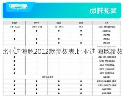 比亚迪海豚2022款参数表,比亚迪 海豚参数