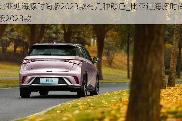 比亚迪海豚时尚版2023款有几种颜色_比亚迪海豚时尚版2023款