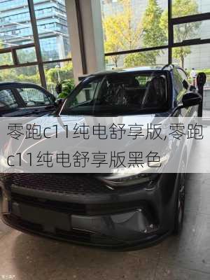 零跑c11纯电舒享版,零跑c11纯电舒享版黑色