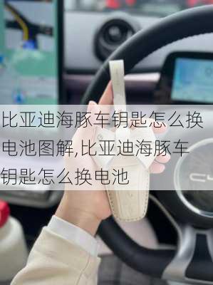 比亚迪海豚车钥匙怎么换电池图解,比亚迪海豚车钥匙怎么换电池