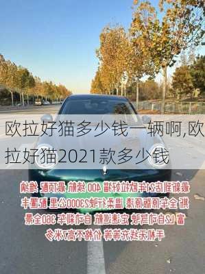 欧拉好猫多少钱一辆啊,欧拉好猫2021款多少钱