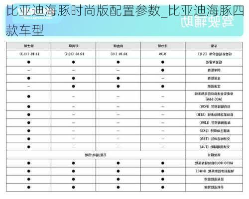 比亚迪海豚时尚版配置参数_比亚迪海豚四款车型