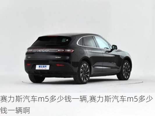 赛力斯汽车m5多少钱一辆,赛力斯汽车m5多少钱一辆啊