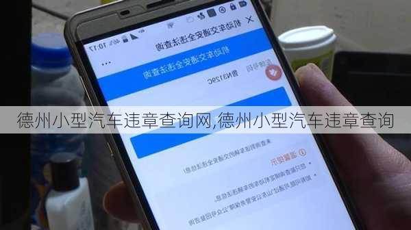 德州小型汽车违章查询网,德州小型汽车违章查询