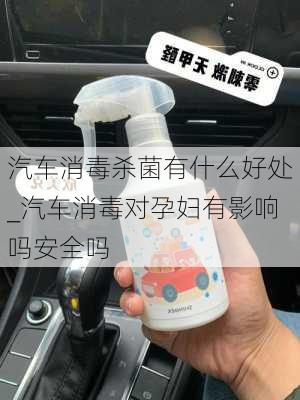 汽车消毒杀菌有什么好处_汽车消毒对孕妇有影响吗安全吗