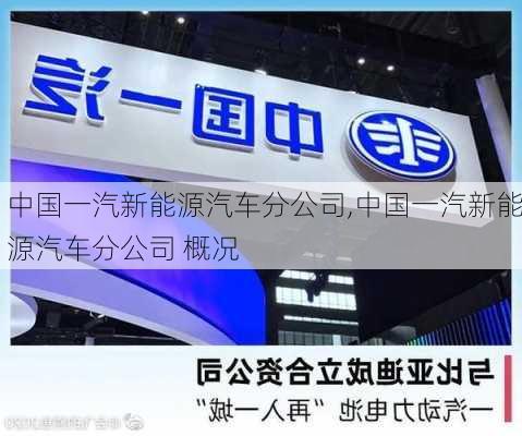 中国一汽新能源汽车分公司,中国一汽新能源汽车分公司 概况