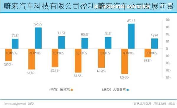 蔚来汽车科技有限公司盈利,蔚来汽车公司发展前景