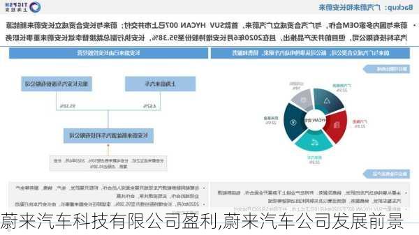 蔚来汽车科技有限公司盈利,蔚来汽车公司发展前景