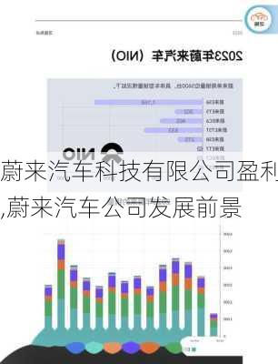 蔚来汽车科技有限公司盈利,蔚来汽车公司发展前景