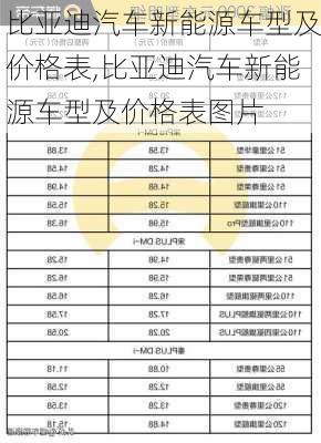 比亚迪汽车新能源车型及价格表,比亚迪汽车新能源车型及价格表图片