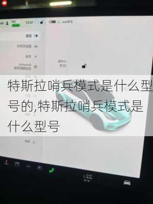 特斯拉哨兵模式是什么型号的,特斯拉哨兵模式是什么型号