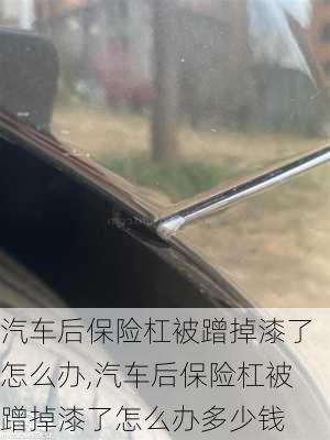 汽车后保险杠被蹭掉漆了怎么办,汽车后保险杠被蹭掉漆了怎么办多少钱