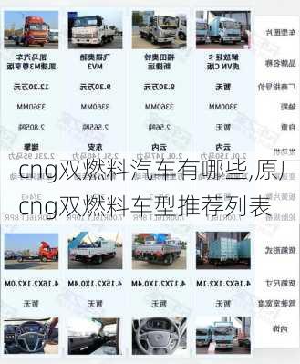 cng双燃料汽车有哪些,原厂cng双燃料车型推荐列表