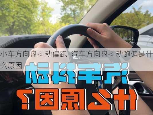 小车方向盘抖动偏跑_汽车方向盘抖动跑偏是什么原因