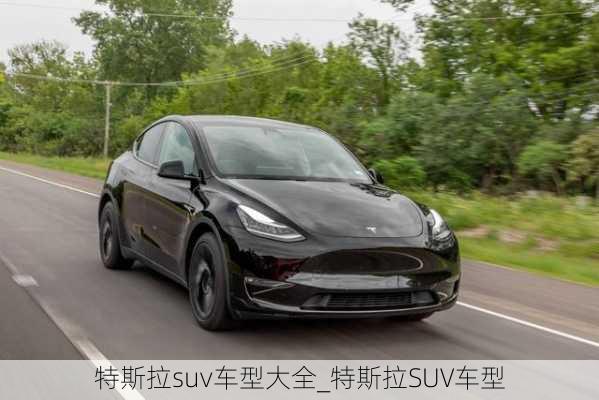 特斯拉suv车型大全_特斯拉SUV车型