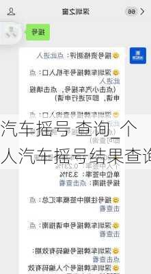 汽车摇号 查询_个人汽车摇号结果查询