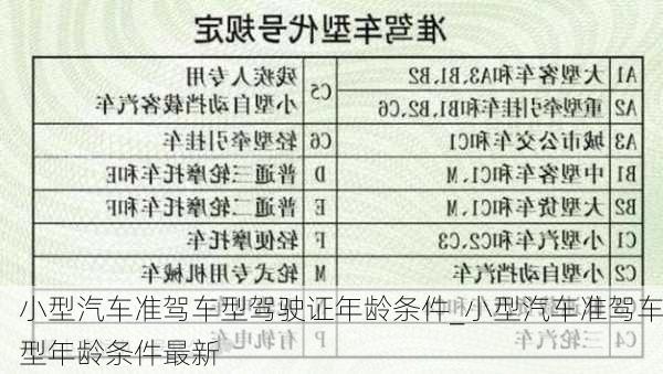 小型汽车准驾车型驾驶证年龄条件_小型汽车准驾车型年龄条件最新