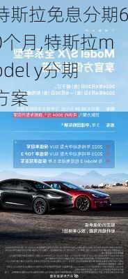 特斯拉免息分期60个月,特斯拉model y分期方案