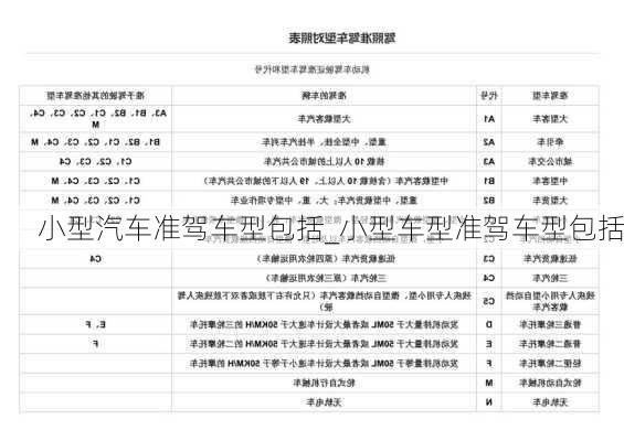 小型汽车准驾车型包括_小型车型准驾车型包括