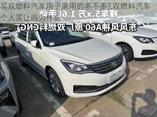 买双燃料汽车用于家用的多不多?,双燃料汽车个人买让吗为什么