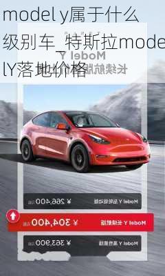 model y属于什么级别车_特斯拉modelY落地价格