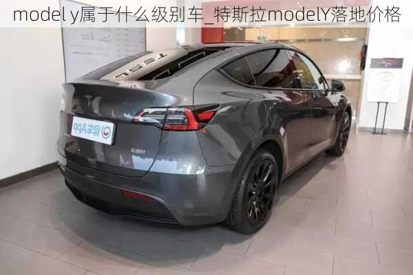 model y属于什么级别车_特斯拉modelY落地价格