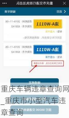 重庆车辆违章查询网_重庆市小型汽车违章查询