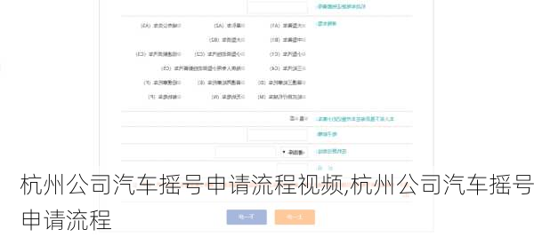 杭州公司汽车摇号申请流程视频,杭州公司汽车摇号申请流程