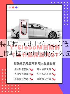 特斯拉model 3和y怎么选_特斯拉model3和y怎么选