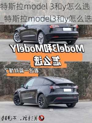 特斯拉model 3和y怎么选_特斯拉model3和y怎么选