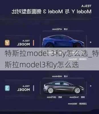 特斯拉model 3和y怎么选_特斯拉model3和y怎么选