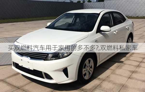 买双燃料汽车用于家用的多不多?,双燃料私家车