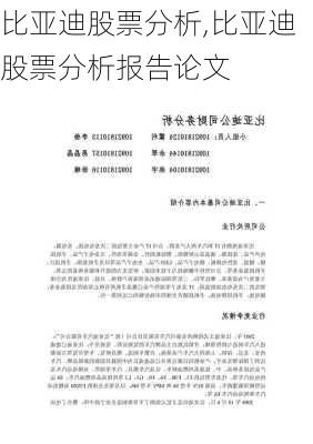 比亚迪股票分析,比亚迪股票分析报告论文