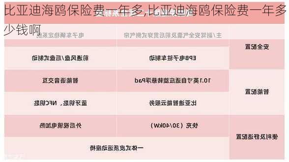 比亚迪海鸥保险费一年多,比亚迪海鸥保险费一年多少钱啊