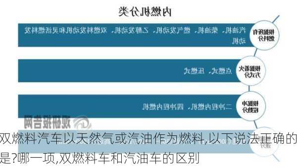 双燃料汽车以天然气或汽油作为燃料,以下说法正确的是?哪一项,双燃料车和汽油车的区别