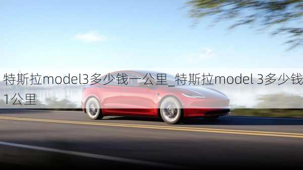 特斯拉model3多少钱一公里_特斯拉model 3多少钱1公里